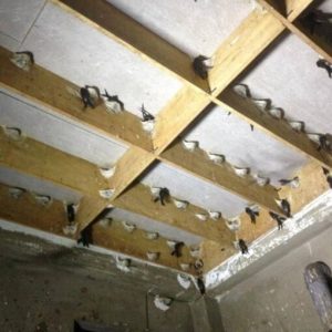 6 3 Hợp tác xã Lộc Phát